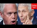 'What Is The Real Figure?': Ron Johnson Grills Witnesses, From Fauci To Mayorkas | 2021 Rewind