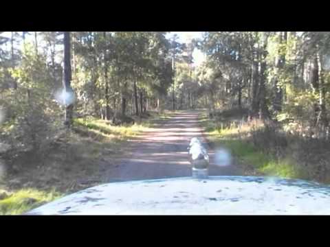 Sgt Fritz Im Offroadpark Furstenau Part 5 Youtube