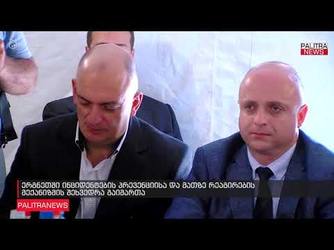 ერგნეთში ინციდენტების პრევენციისა და მათზე რეაგირების მექანიზმის შეხვედრა გაიმართა