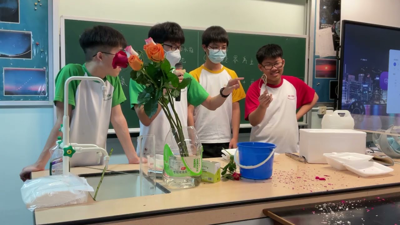 IMG 5950 MOV 的副本