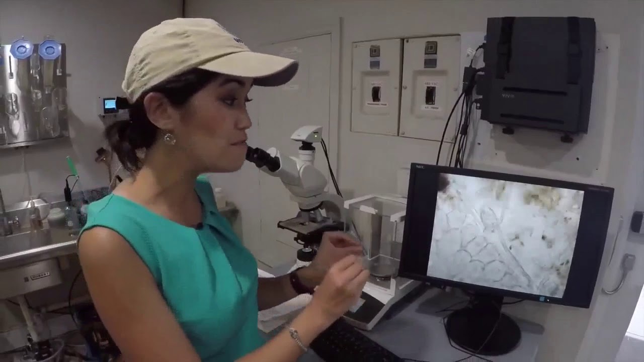 vero beach weather Protecting paradise by recycling water