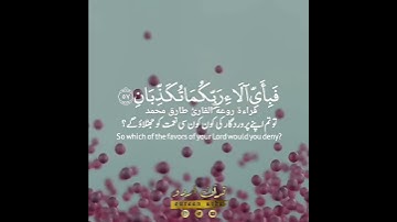 قراءة روعة تنسيك هم الدينا القارئ طارق محمد