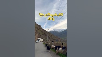 قران كريم #quran #اكسبلور #المصحف #automobile #القران_الكريم #لايك #اكسبلور  #الشيخ #quran  #قرآن