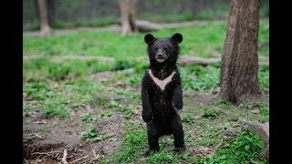 Ульяна с Умкой - советую сбегать за огурчиком ;-) Тайган. Крым.