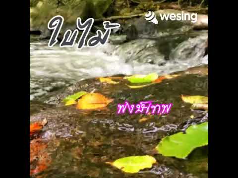 ใบไม้ : พงษ์เทพ กระโดนชำนาญ (cover : ต่อ สัมมาพาคุย)