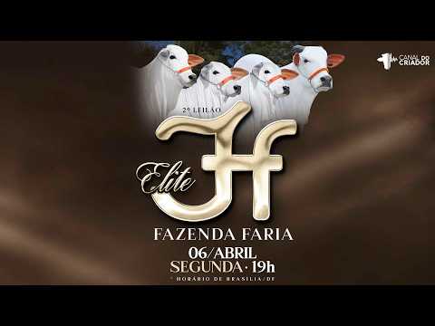 LOTE 08   BOEMIA FIV FAZFAR   FZFA 232