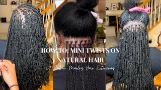 HOW TO: Mini Twists with Extensions | Low Maintenance Protective Styles  | Step-By-Step Tutorial