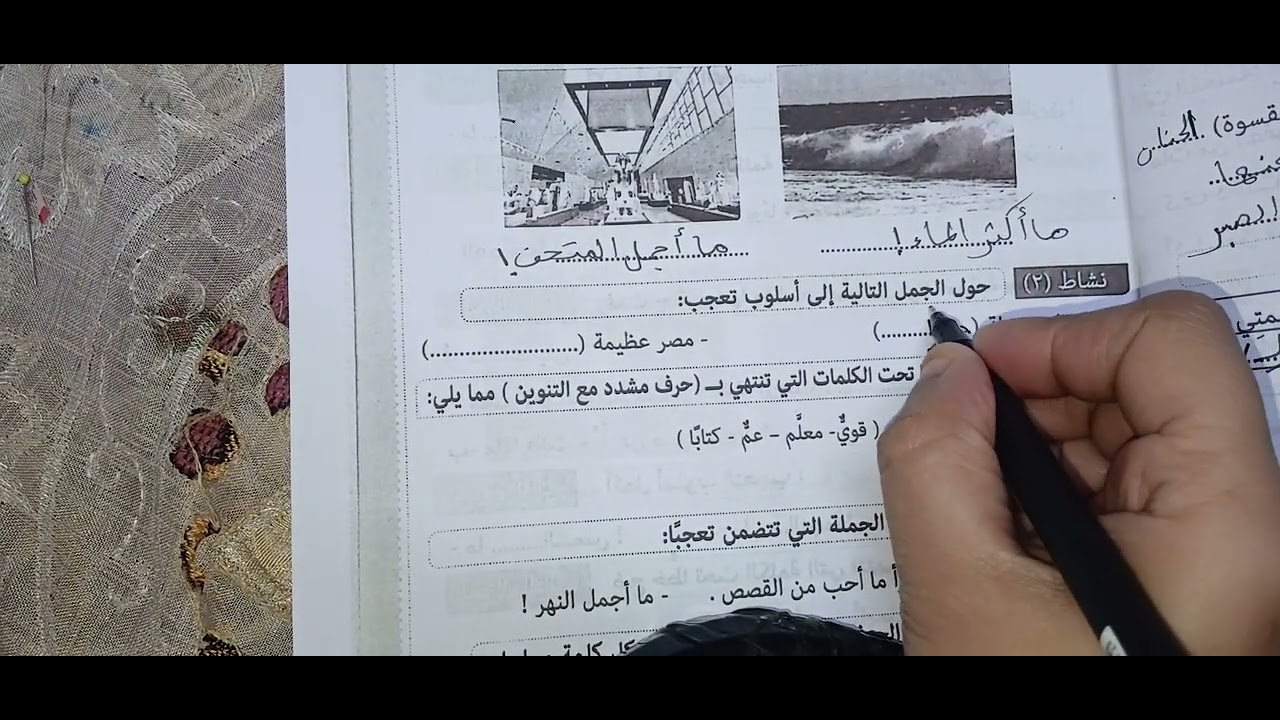 حل الاسبوع السابع للصف الثاني الابتدائى اللغه العربيه 