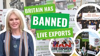 HISTORIC MOMENT: Live Exports have been BANNED form Britain