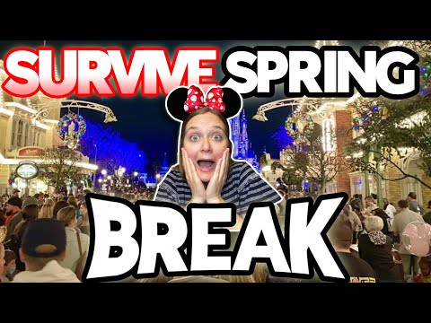 Video: Disney World Spring Break Survival Tips