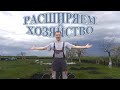 Купили поросят // Новые саженцы // Содержание домашней птицы