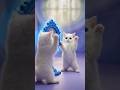 Blue Eyes Fluffy Cat: Mirror and Me✨|#shorts #catshorts