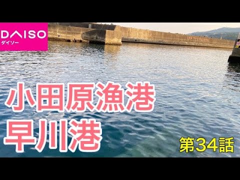 第34話【小田原漁港 早川港】《鰯/イワシ》《サバ/鯖》《シロギス/鱚》ALLダイソーがんばりました。第2戦目