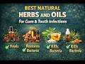 BEST NATURAL HERBS AND OILS FOR ORAL HEALTH