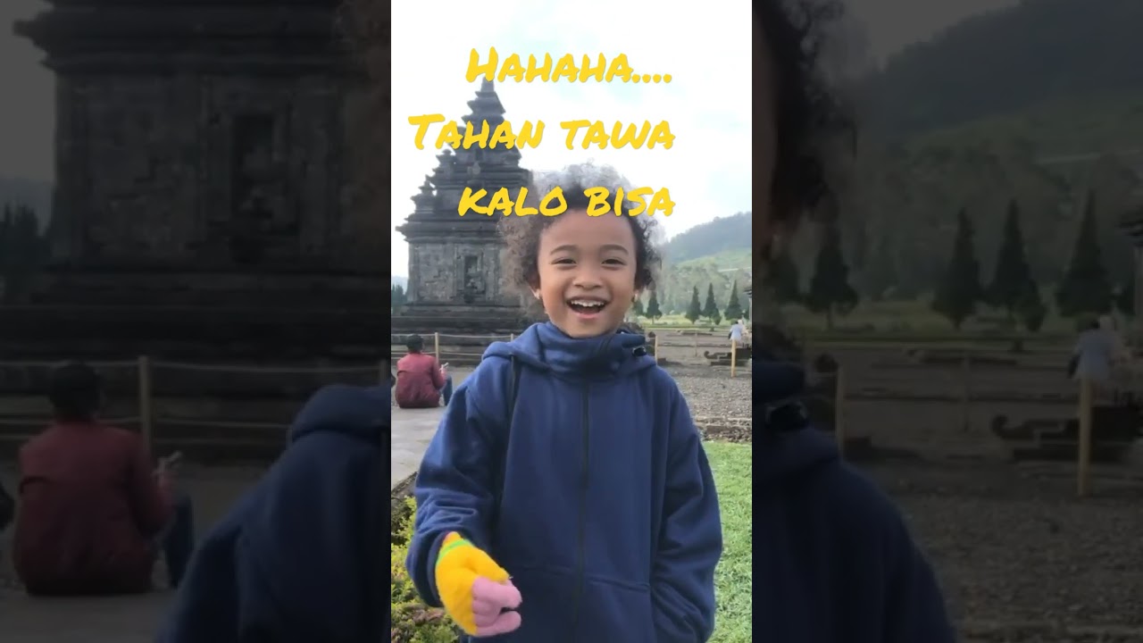hampir 10juta orang tertawa melihat ini lucu bikin ngakak anak kecil cewek lucu cute little girl