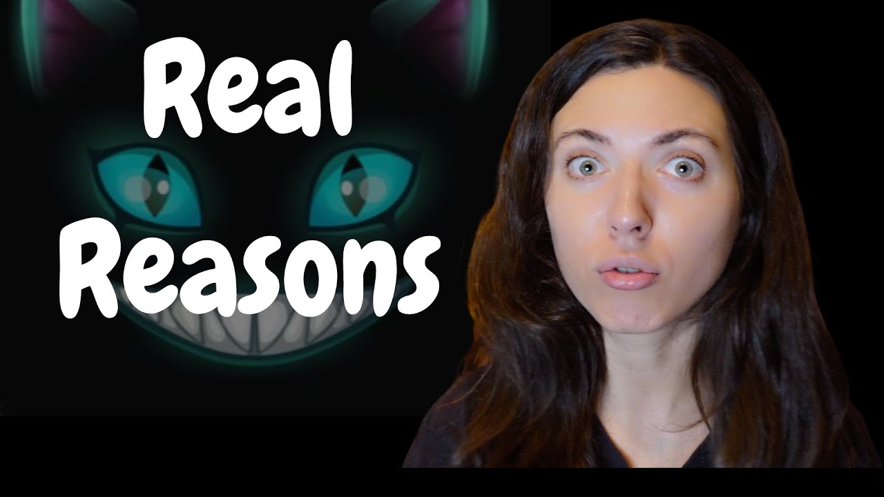 Why Time Wonderland is Closing What’s the Real Reason and What’s next