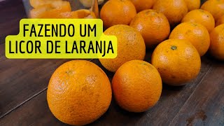 Aprenda a fazer um licor de laranja!