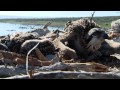 Mono lake film  promo 2