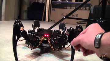 FREAKY Robot! Phoenix Hexapod Robot