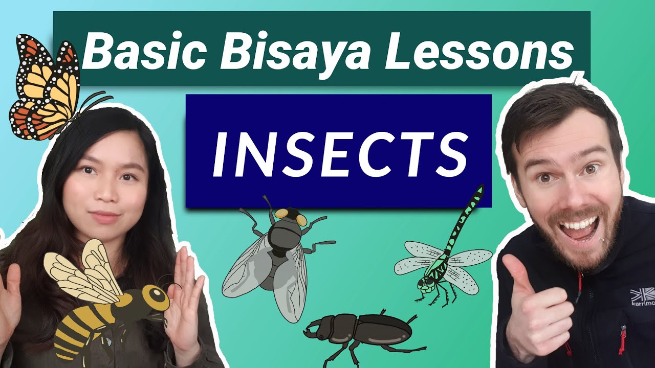 Filipino Bisaya Lessons 101: Bisaya Insects - YouTube