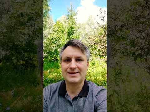 Сколько стоит сайт или почему нельзя сразу спрашивать стоимость создания сайта