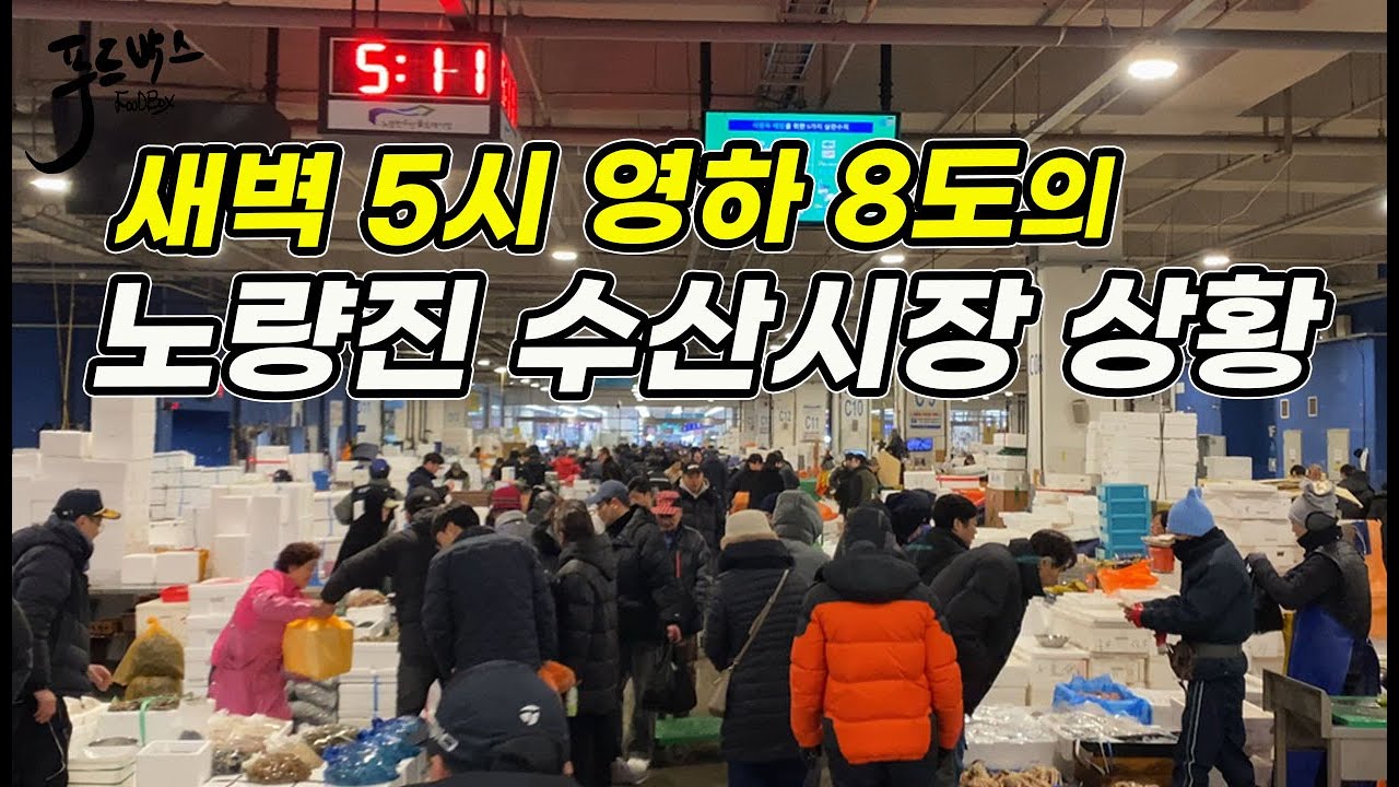 새벽 5시 주말에 잠안자고 사람들이 몰린 이유...(feat. 나만 모르면 손해)