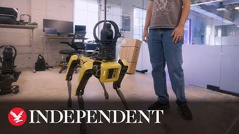 Robot dogs can now 