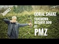 Coral snake td recurve by pmz  review