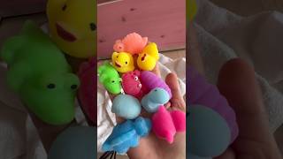 How to care for #wiggly #jelly #mochi #tipsandtricks #shorts #trending