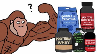 Supplements to Get Huge Explained by a Monkey