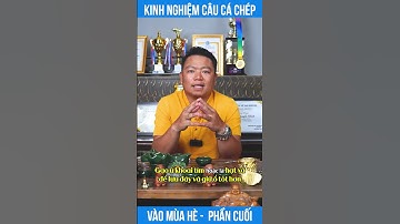 KINH NGHIỆM CÂU CÁ CHÉP HỒ DỊCH VỤ MÙA HÈ - PHẦN CUỐI