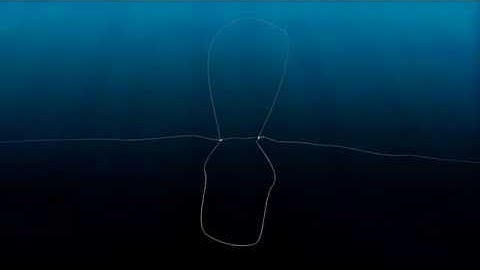 TU Delft - Z loop formation by condensin-condensin traversal 1/3