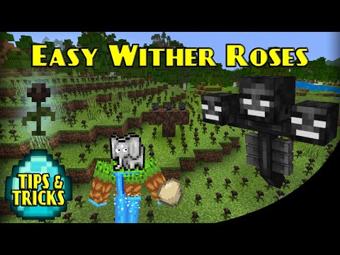 Easy WITHER ROSES | Minecraft Bedrock Tips & Tricks | MCPE XBOX PS SWITCH