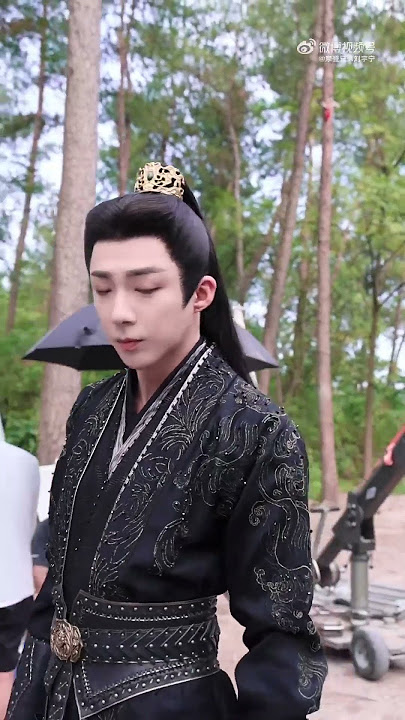 Kungfu Liu Yuning🤣❤️|V-Pulse #liuyuning #刘宇宁 #TheStoryofPearlGirl #珠帘玉幕