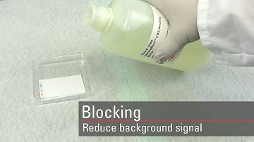 Block the Western blot membrane to reduce signal background