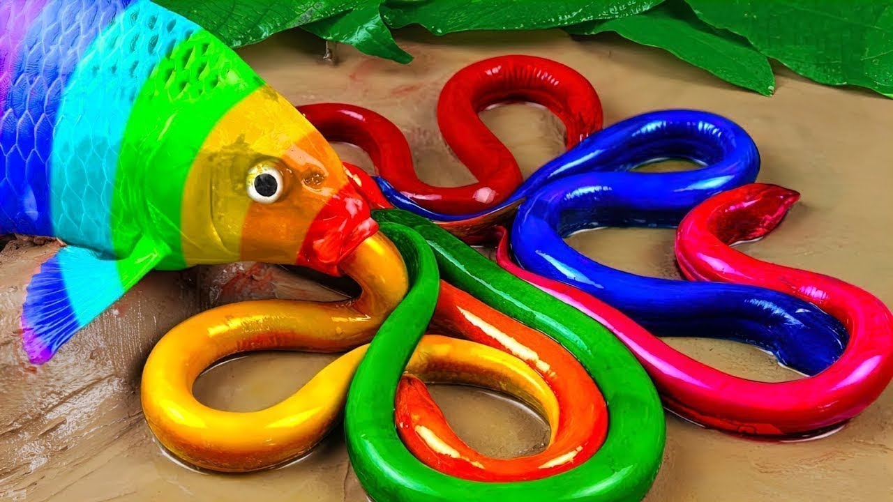 Catch Cute Chickens, Colorful Chickens, Rainbow Chicken, Rabbits, Cute Cats,Ducks,Animals Cute