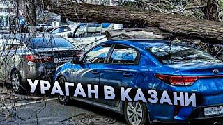 Последствия урагана в Казани: поваленные деревья и светофоры