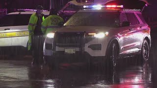 Armed suspect fatally shot by ISP in Woodlawn overnight - WGN Midday News