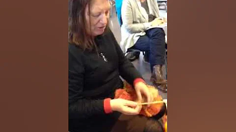 Judith McKenzie Wolf Yarn Demo