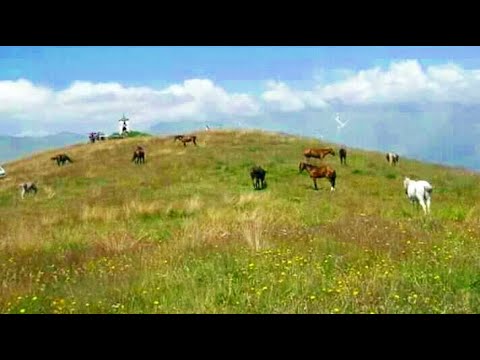 უძილაურთა-ფშავი(udzilaurta pshavi)GEORGIA