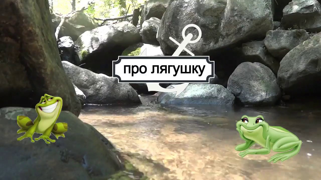 Песня лягушка узбек
