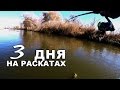 Судак и жерех на спиннинг. Рыбалка в ноябре на нижней Волге.