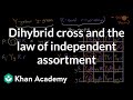 Mendelian Genetics and Dihybrid Crosses in Pea Plants
