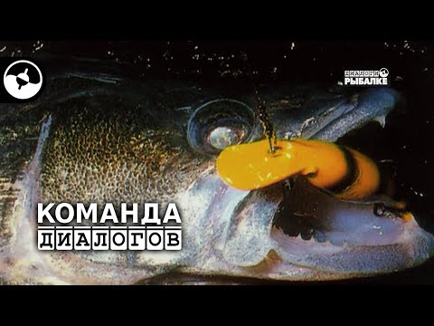 Судак на джиг | Классика