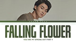 YANG DA IL (양다일) - 'Falling Flower' (낙화 (落花)) You Are My Spring OST Part 5 Lyrics (Han/Rom/Eng)