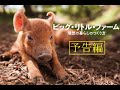 「ビッグ・リトル・ファーム 理想の暮らしのつくり方」予告編