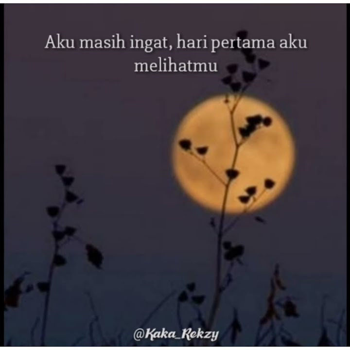 Story Wa Terbaru // Desiran Angin Malam
