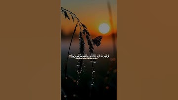 قرآن كريم بصوت مريح جدا #يارب #اكسبلور #حالات_واتس #لايك