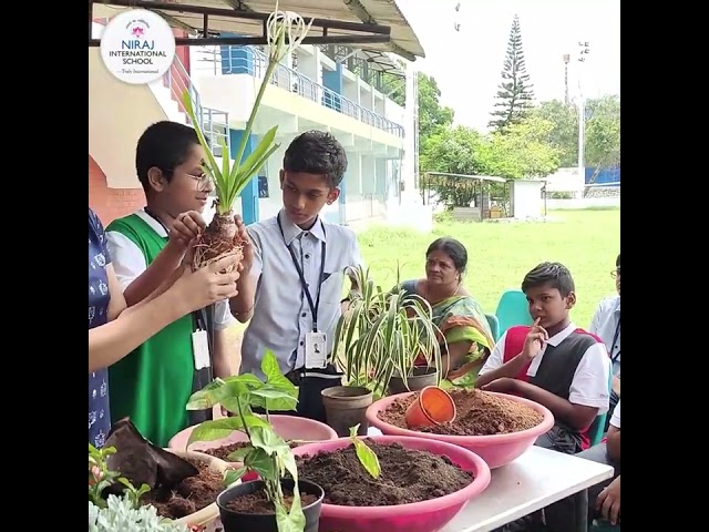 Repotting Indoor Plants Event at Niraj International School | Best CBSE School in Kompally