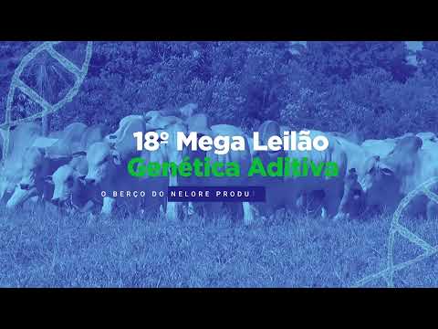 18º MEGA LEILÃO GENÉTICA ADITIVA 2021